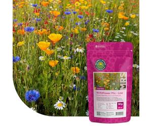 MRS Mélange de fleurs sauvages basses 1 kg pour 500 m² - 31 variétés annuelles et vivaces - Graines de fleurs des champs - Attire abeilles, bourdons et papillons