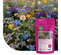 MRS Mélange Tübinger pour abeilles ±2500 m² - graines de fleurs sauvages annuelles - couleurs vives et attirantes - attire les abeilles, les bourdons et les papillons