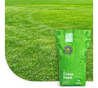 MRS Repair & Restore: Semence Gazon Regarnissage - 15 kg pour 750 m² - Germination rapide - Gazon dense et bien vert - pour pelouses et terrains de sport