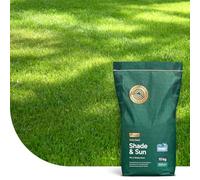 MRS Shade & Sun : Semence Gazon Ombre - 10 kg pour 500 m² - Haute tolérance à l'ombre - Il prévient la mousse - Grande valeur ornementale - Avec Revêtement Hydroboost™