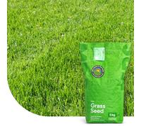 MRS Turbo Green: Semence Gazon Regarnissage - 15 kg - 750 m² - Germination rapide - Gazon dense et bien vert - Grande tolérance au piétinement