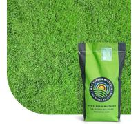 MRSChampion: Semences de gazon sport | 1 kg pour 60 m² | Résistant pour sport & usage intensif | Adapté à tous types de sols | Croissance Rapide | Faible entretien