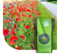 MRSRoadside Bloom : Semences de gazon - 1 kg pour 50 m² - Gazon dense et résistant - Bord de route coloré - Tolérant à la sécheresse