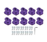 MRSTORY l'escalade Tient PE Ergonomic Confortable Sensation de Main de la Main Grimpant des Poignées de Paroi Rocheuse pour Les Enfants Intérieurs en Plein Air Adultes 10pcs 12,5x10cm (Violet)