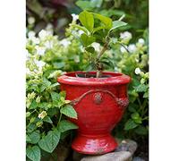 MRVAKDYDI Pots de Fleurs Modern Planters, Succulent Planters Creative Rough Pottery Glaze Applique, Cup Flower Pots Old Fashioned Plant Garden Pot(Red,19cm)