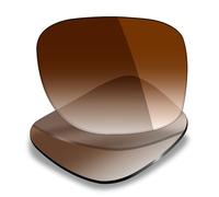 Mryok Verres polarisés de rechange pour Ray-Ban Liteforce RB4195 52 mm - Options, Non polarisé - Teinte marron dégradé, Taille unique