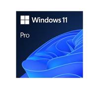 MS 1x Windows 11 Pro 64-Bit DVD OEM English International (EN)