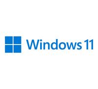 MS 1xWin 11 Pro 64Bit French 1pk DSP OEI DVD (FR)