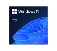 MS ESD Windows Professional 11 64-bit All Languages Online Product Key License 1 License Downloadable ESD NR