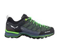 Salewa Chaussures MTN Trainer Lite GORE-TEX Vert Taille 43