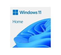 MS Windows 11 HOME FPP 64-bit French USB Flash Drive