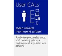 MS Windows Server CAL 2016 Eng DSP 1Clt User License R18-05225
