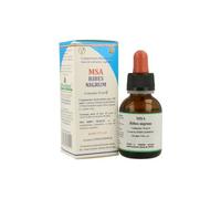 Msa Ribes Nigrum 50Ml