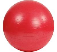 MSD Europe bvba Gym Ball Mambo 55 cm