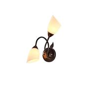 MSGIRVLZL Appliques Murales En Fer de Style Nordique E27 * 2 Créativité de La Mode Applique Murale En Forme de Fleur Plug-In Lava Convient For Salon de Thé, Chambre À Coucher, Couloirs Lampes Décorati