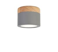 MSGIRVLZL Led Downlight Plafond Spot Lights 300 0K 5W Spotlight de Bois Clair de La Surface Montée Sur La Surface Montée Idéale For La Galerie Du Couloir Cuisine Et Salon Haute Luminosité (Color : Gre