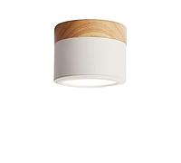MSGIRVLZL Led Downlight Plafond Spot Lights 300 0K 5W Spotlight de Bois Clair de La Surface Montée Sur La Surface Montée Idéale For La Galerie Du Couloir Cuisine Et Salon Haute Luminosité (Color : Gre