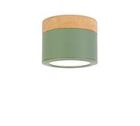 MSGIRVLZL Led Downlight Plafond Spot Lights 300 0K 5W Spotlight de Bois Clair de La Surface Montée Sur La Surface Montée Idéale For La Galerie Du Couloir Cuisine Et Salon Haute Luminosité (Color : Gre