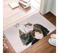 MSHEEFG Assortiment de Chats de la forêt norvégienne paillasson antidérapant Super Absorbant Tapis de Bain Tapis d'entrée de la Maison Tapis de Cuisine Couloir Coussin de Pied 40 * 60 CM