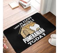 MSHEEFG Je Ne Parle Qu'à Mon Paillasson Poméranien Antidérapant Super Absorbant Tapis De Sol De Salle De Bain Tapis D'entrée De Maison Tapis Tapis De Sol 40 * 60 CM
