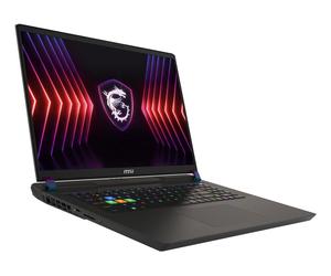 MSI Vector 17 HX Core i9 (17 ) 32 Go 1 To SSD NVIDIA GeForce RTX 4090 Windows 11 Pro, Noir - AZERTY