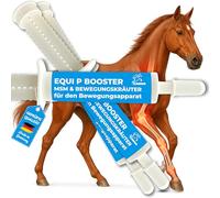 MSM Cheval écorce de Saule Cheval Equi P Pâte vitaminée Plus glucosamine chondroïtine Haute Dose Cheval Vitamine C levure de bière - Appareil locomoteur articulations tendons ligaments Cartilage 3pc