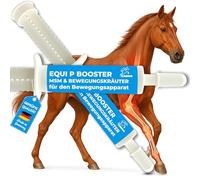 MSM Cheval écorce de Saule Cheval Equi P Pâte vitaminée Plus glucosamine chondroïtine Haute Dose Cheval Vitamine C levure de bière - Appareil locomoteur articulations tendons ligaments Cartilage 2pc