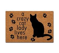 MsMr Paillasson « A Crazy Cat Lady Lives Here » - Tapis décoratif d'intérieur pour la maison et le bureau - 60 x 40 cm