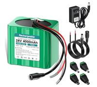 Mspalocell 24v Batterie 4000mAh Batterie Rechargeable au Lithium avec Chargeur et Adaptateur connecteur et Ligne de Connexion, pour périphériques 24 V, DIY Toy/Jeu/Jouet Automobile