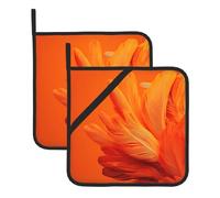 MSRHIUEF Feathers in the Light Picture Lot de 2 tapis isolants carrés pour enlever le couvercle de cuisine, fours à micro-ondes, fours avec corde de suspension latérale