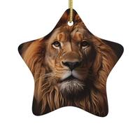 MSRHIUEF The Lion's Gaze Printing Christmas Ceramic Star Pendentif Ornement Facile à accrocher, très approprié pour décorer les arbres de Noël