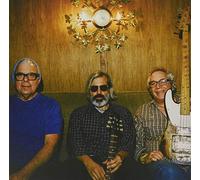 MSSV - Main Steam Stop Valve [Vinyl LP]