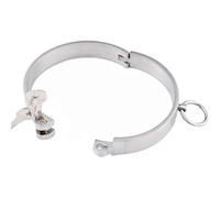 MSTMAZZ Collier D'esclave en Métal, Collier Sexuel Verrouillable en Acier Inoxydable, Tour de Cou, Joint Torique, Jouets Sexuels pour Hommes et Femmes, Accessoires de Costume de Jeu de Rôle, Argent