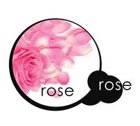 MSV 337 Housse Gain de Place Vide d'air Parfum Rose Polyamide/Polyéthylène Transparent 100 x 110 x 0,1 cm