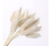 MSWgjYRQ Fleur de blé véritable - Décoration naturelle - Queue de lapin de la pampa - Fleurs séchées à l'herbe pour fête de mariage - Bricolage - Scrapbooking - Éventails pliants décoratifs (50