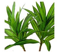 MSWgjYRQ Grandes plantes tropicales artificielles décoratives de 66 à 98 cm, feuilles vertes artificielles en bois du Brésil, feuillage de magnolia pour décoration de maison, mariage (66 cm et 98 cm)