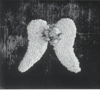 Μеmеոtο Μοгі | DеIսхе ϹD