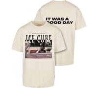MT X Artist T-shirt Ice Cube It's a Good Day Oversize Tee L