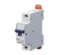 MT60 LS Schalter d40 A 1p 6 kA 1te