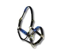 MTB Equestrian - Polo souple Licol en cuir - Cuir véritable - Dos nu - Boucles réglables - Rembourrage souple - Sûr - Solide - Cheval - Équestre - Animaux acceptés (Bleu-Blanc, Cob)