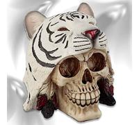 mtb more energy Figure crâne ''Shaman of The White Tiger'' - crâne Con copricapo di animali - Hauteur 14 cm - Décoration Fantastique Fantaisie Medieval