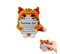 Mtbricey Chat au crochet avec carte positive, pièces de monnaie porte-bonheur, cadeau positif pour femmes, filles, famille, amis, sœurs (1, orange)