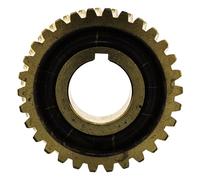 MTD Pièce de Rechange pour vis sans Fin Mach