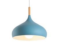 MTDYD Lustre en Métal À Tête Unique, Base De Lampe E27, Suspension Industrielle Moderne, Luminaire De Plafond, Lampe Suspendue pour La Décoration De Café De Restaurant