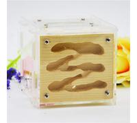 MTFZD Nid Fourmis Ferme Fourmis Acrylique Nid Fourmis en Bois Fourmilière Nid Écologique avec Zone d'alimentation 9.2 * 12 * 10cm Facile À Installer pour Atelier Fourmilière Animaux Compagnie