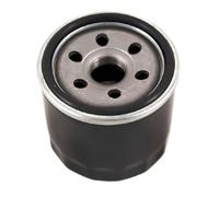 MTGUIWF Ensemble d'huile Compatible avec CF 188 500 500CC ATV UTV Quad Go Kart Sand Buggy 4X4 0180-011300-0B00