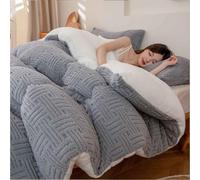 MTHGH Couette Hiver 220x240 TrèS Chaude Couette Polaire Biface Couette Epaisse Moelleuse éDredon Edredon Gonflant Couette Épaissie(03,220x240cm/5kg)
