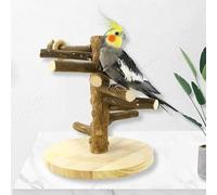 Mtiemxig Support de jeu pour perroquets en bois - Arbre d'escalade naturel avec échelle et balançoire - Paradis de jeu et d'entraînement robuste pour perruches, calopsittes, perroquets