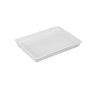 MTKSFDC Soucoupe Pot Fleur Pot de Fleur de Jardin 1 pièces