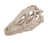 Mtlavishness Modèle de crâne de dinosaure réaliste, squelette d'animal, décoration pour bureau, artisanat, matériel d'enseignement, 4,92 x 1,57 x 2,56 pouces